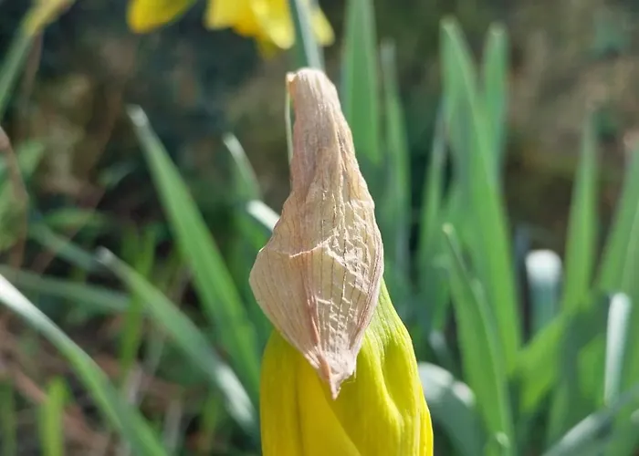 Chez Lilian & Isa - 8 Personnes *